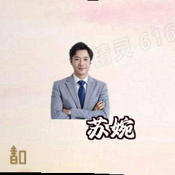 苏婉